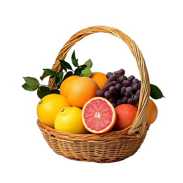 Bio-Gemüse & Obst